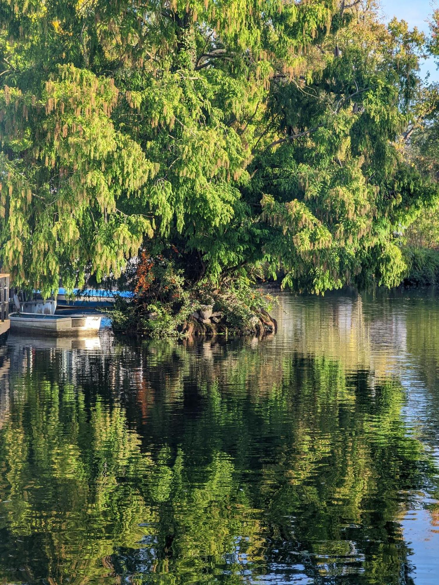 Tulana Taggs - Floating Home On Idyllic Island Hampton Hill Luaran gambar
